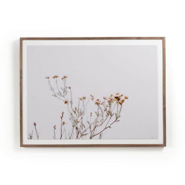 In the Details I by Annie Spratt