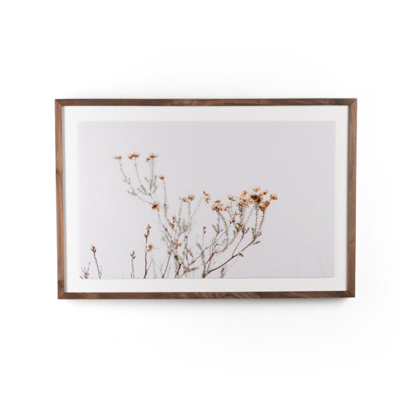 In the Details I by Annie Spratt