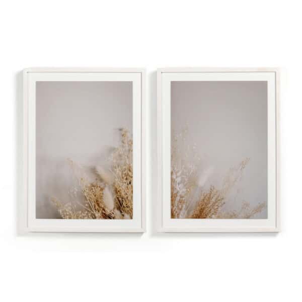 Dried Floral Dyptich by Annie Spratt