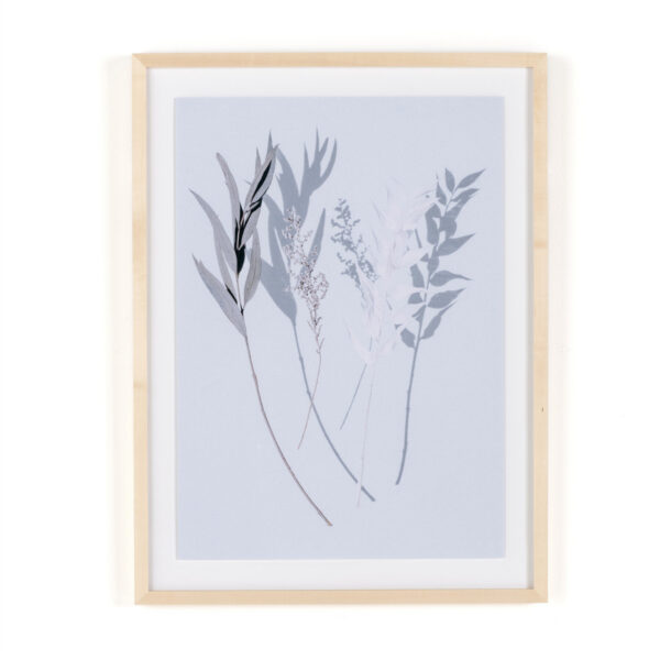 Shadow Leaves I by Annie Spratt