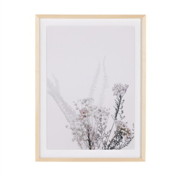 Shadow Leaves V by Annie Spratt