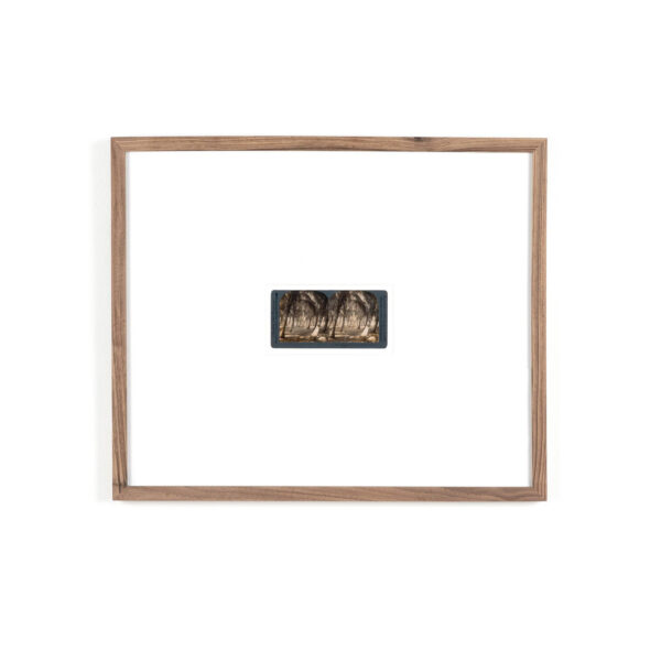 Coconut Grove by Gold Rush Art Co.