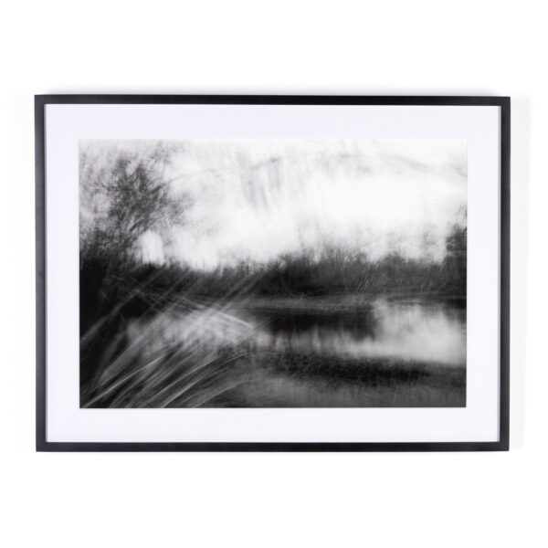 Humidity Hangs Like Frog Skin by Toni Toscano