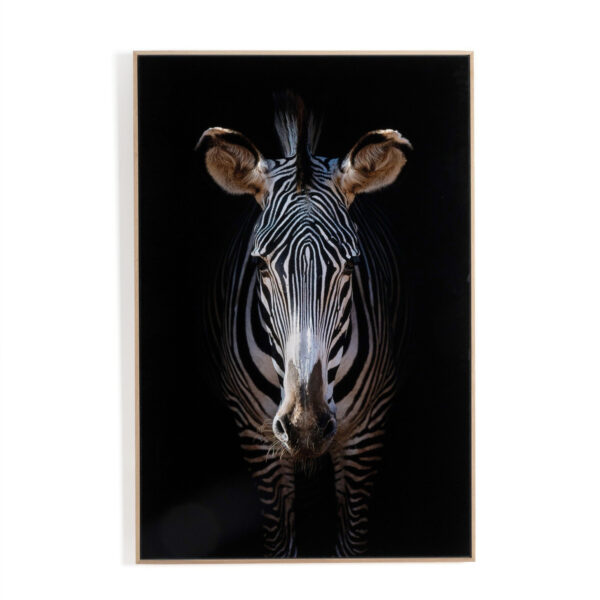 Zebra Stare by Getty Images