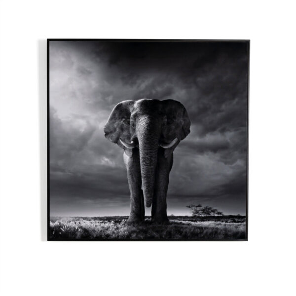 Larger Than Life by Getty Images
