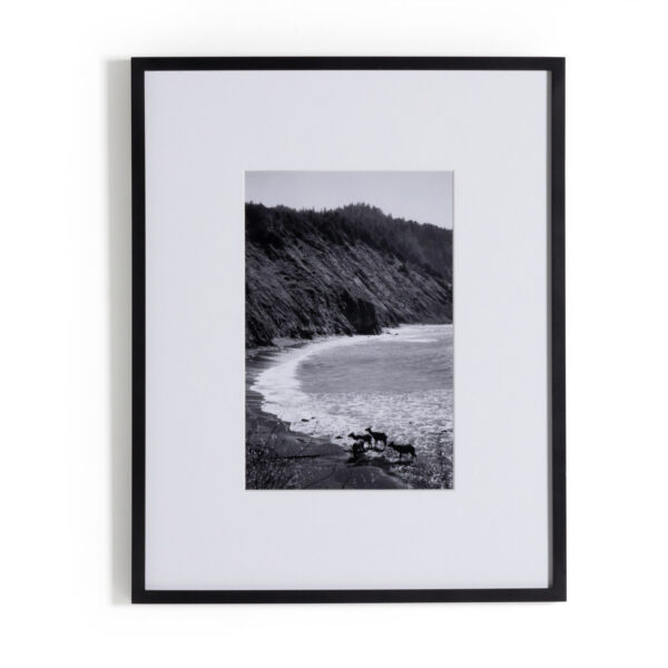 Lost Coast 4 by Gold Rush Art Co.