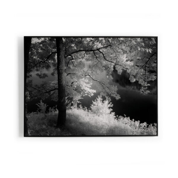 Summer Light by Getty Images