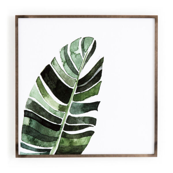 Banana Leaf by Jess Engle