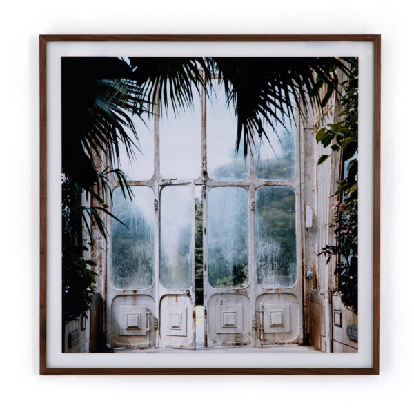 Greenhouse II by Annie Spratt