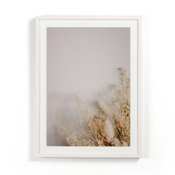 Dried Floral I by Annie Spratt