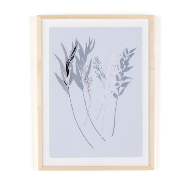 Shadow Leaves I by Annie Spratt