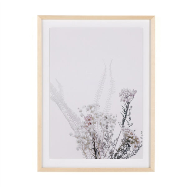 Shadow Leaves V by Annie Spratt