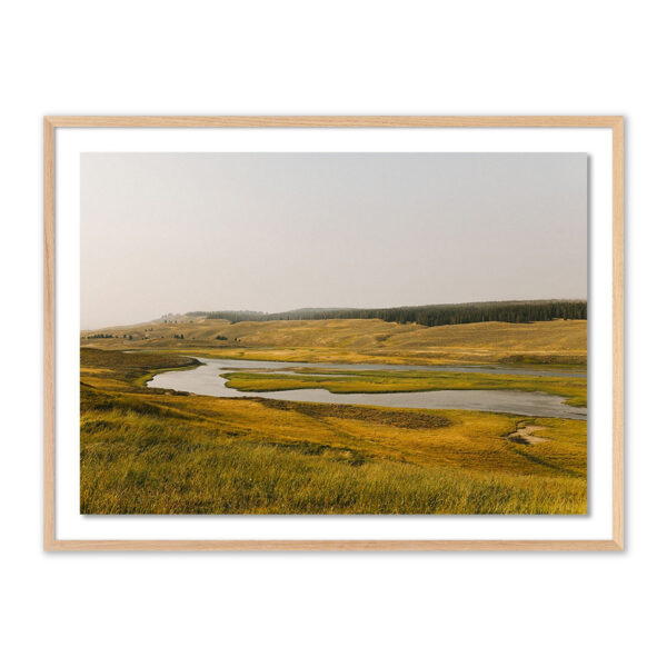 Where the Buffalo Roam by Wesley and Emma Teague