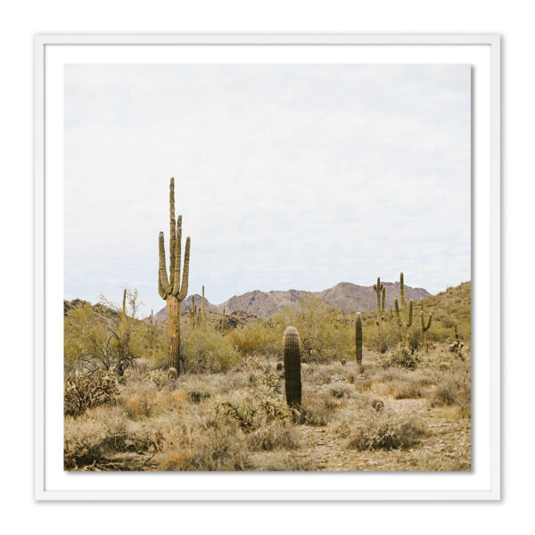 High Desert by Wesley and Emma Teague