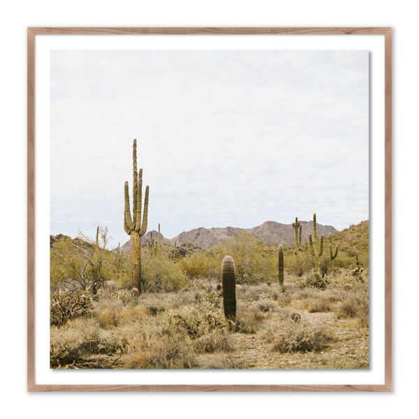 High Desert by Wesley and Emma Teague
