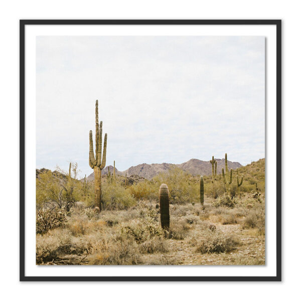 High Desert by Wesley and Emma Teague