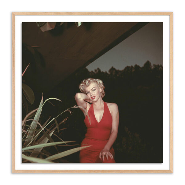Marilyn Monroe, 1954 by Getty Images