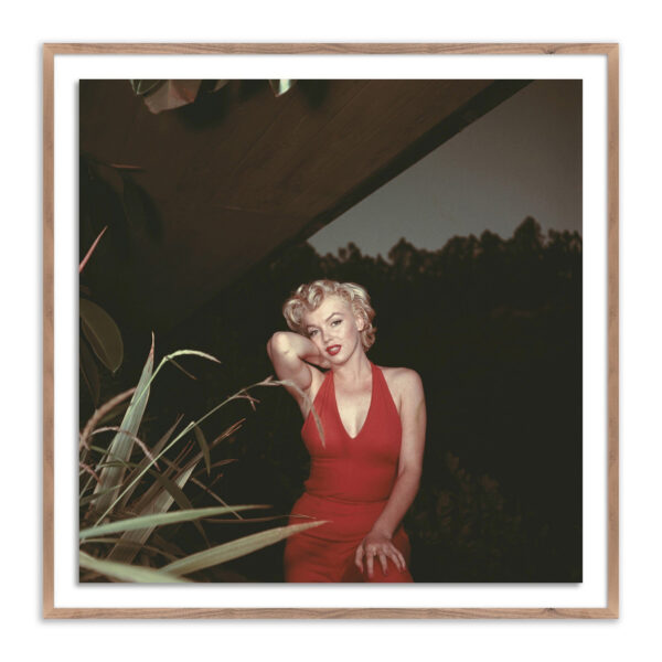 Marilyn Monroe, 1954 by Getty Images