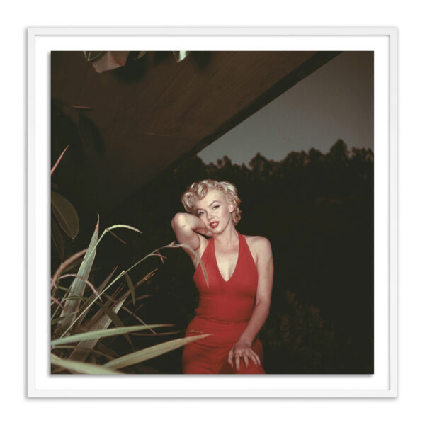 Marilyn Monroe, 1954 by Getty Images