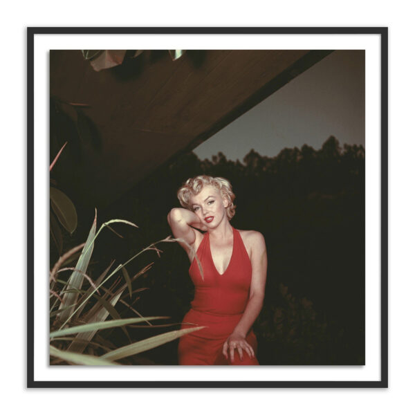 Marilyn Monroe, 1954 by Getty Images