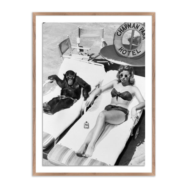 Sunbathing with Chimpanzee by Getty Images