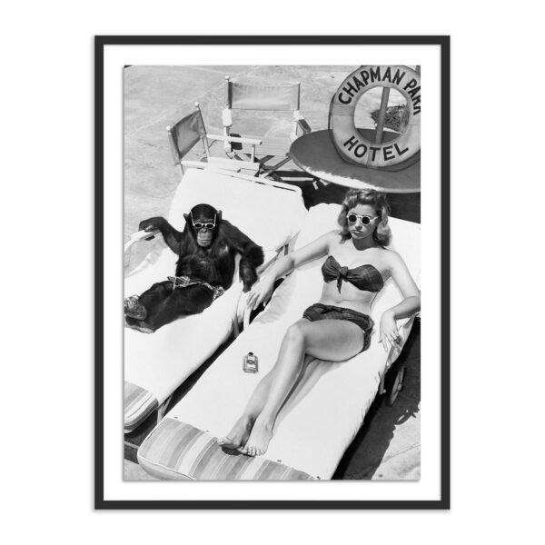 Sunbathing with Chimpanzee by Getty Images