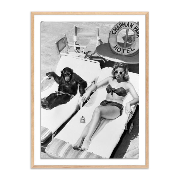 Sunbathing with Chimpanzee by Getty Images