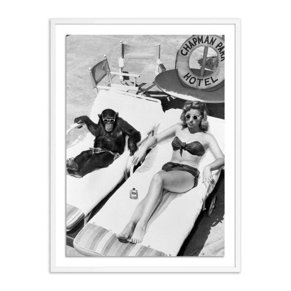 Sunbathing with Chimpanzee by Getty Images