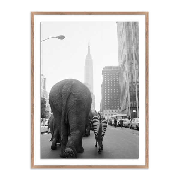 Circus Animals 33rd St by Getty Images