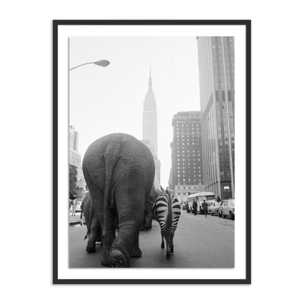 Circus Animals 33rd St by Getty Images