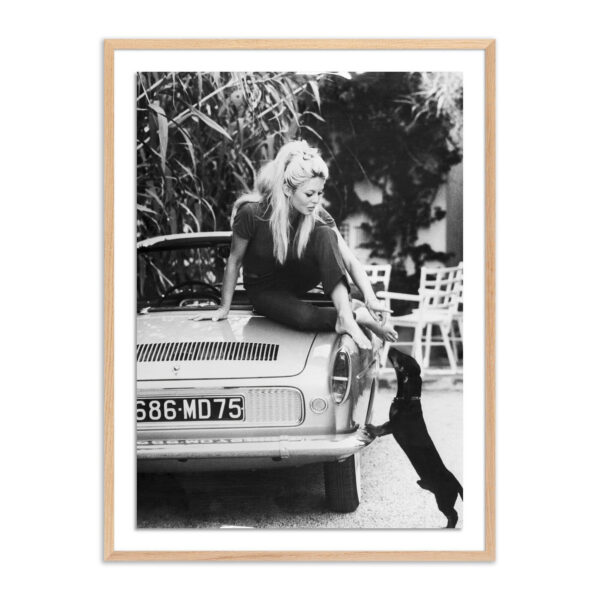 Brigitte Bardot & Pup by Getty Images