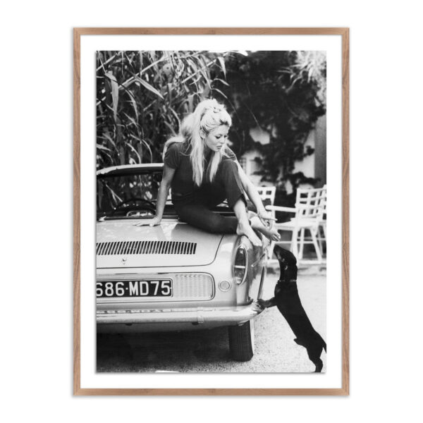 Brigitte Bardot & Pup by Getty Images