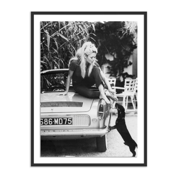Brigitte Bardot & Pup by Getty Images