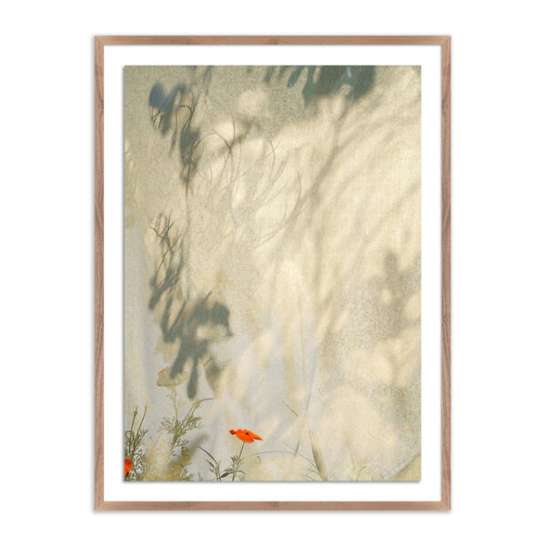 Entertain the Thought, #5 by Fountain Grass Studios