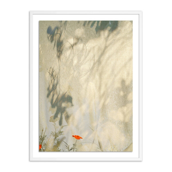 Entertain the Thought, #5 by Fountain Grass Studios