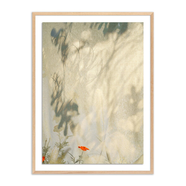 Entertain the Thought, #5 by Fountain Grass Studios