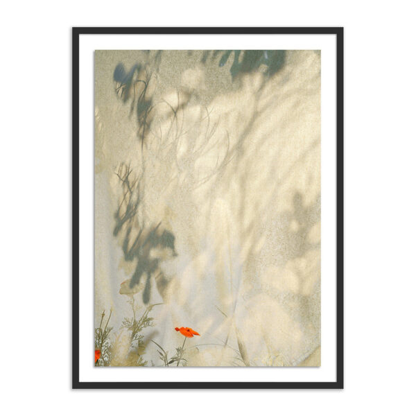 Entertain the Thought, #5 by Fountain Grass Studios