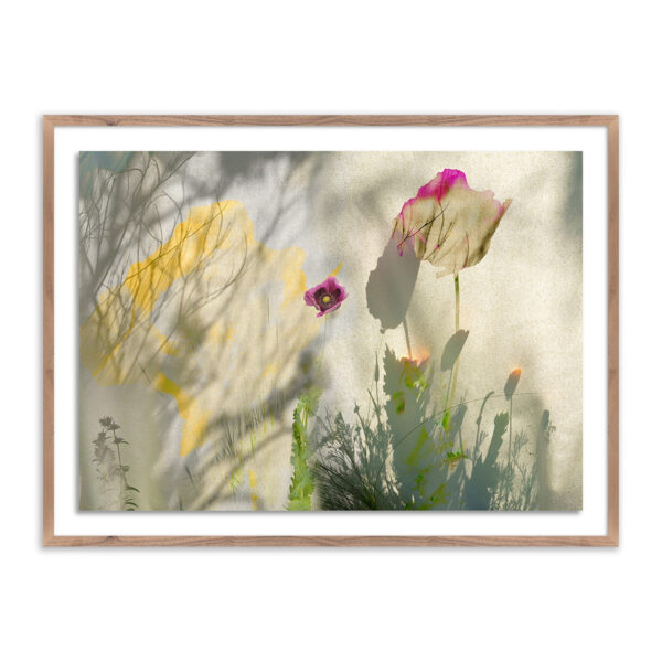 Playscapes, No. 01 by Fountain Grass Studios