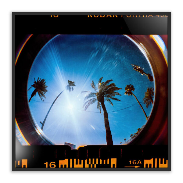 Boulevard by Jackie Lee Young