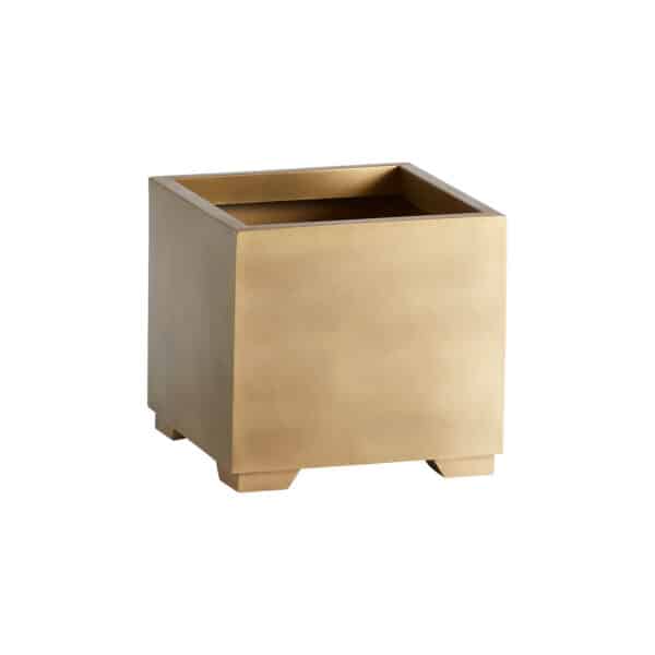 Aster Planter