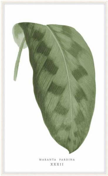 Green Trace 1 Wall Art