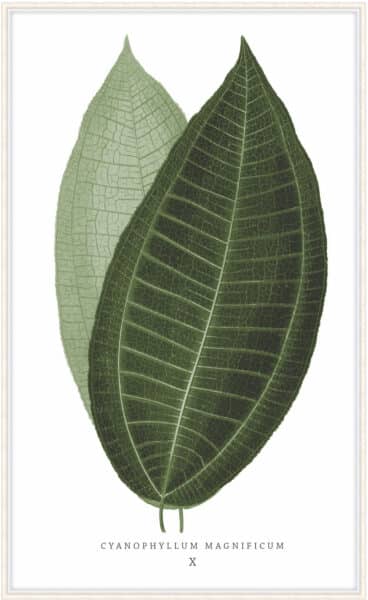 Green Trace 2 Wall Art
