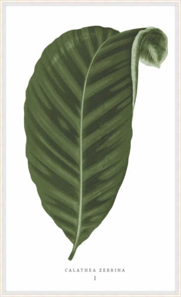 Green Trace 3 Wall Art