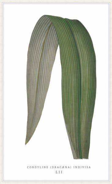 Green Trace 5 Wall Art