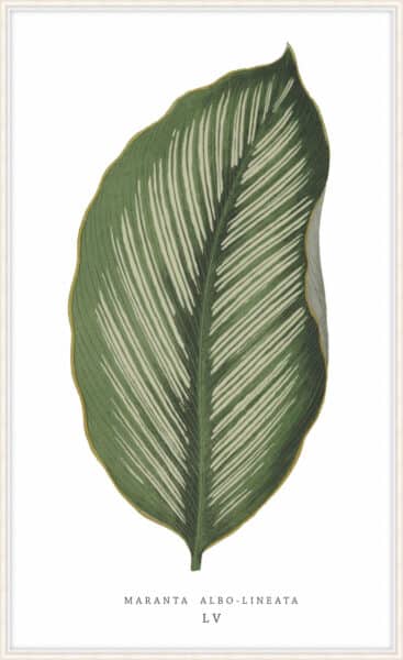 Green Trace 4 Wall Art
