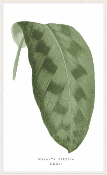 Green Trace 1 Wall Art - 21"x33"