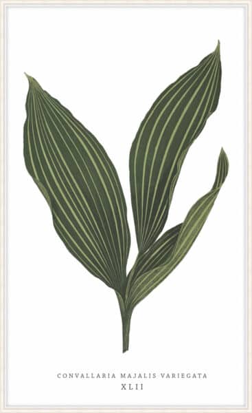Green Trace 6 Wall Art - 21"x33"