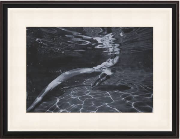 Deep Dive 1 Wall Art