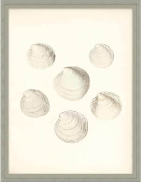 Sea Trinkets 1 Wall Art