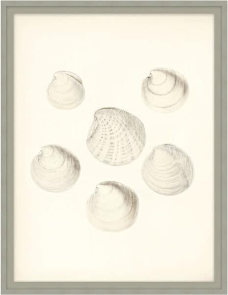 Shore's Treasure 1 Wall Art